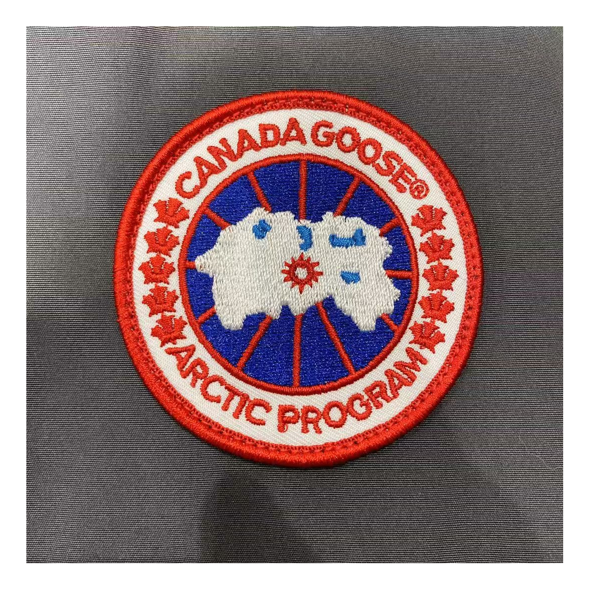 Canada Goose Women's Trillium Parka with Fur-Trim Hood