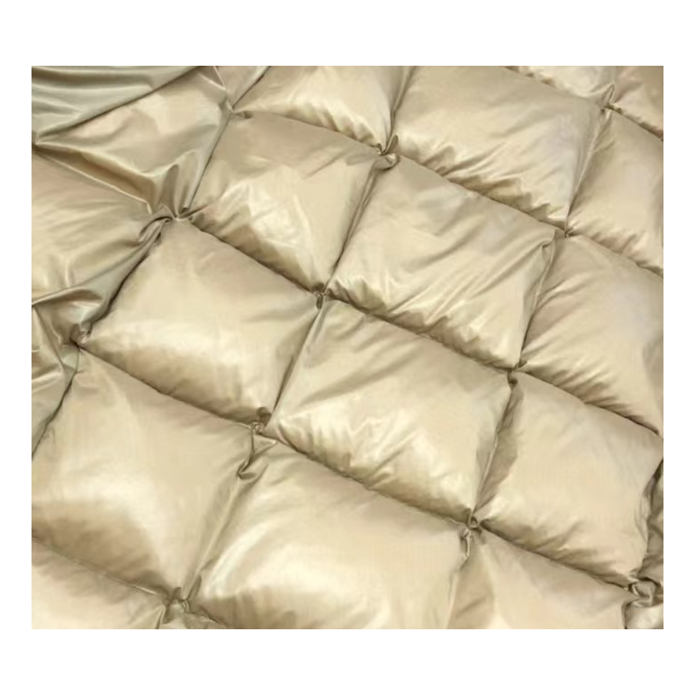 Moncler Glossy Long Puffer Coat with Gold Lining - Black
