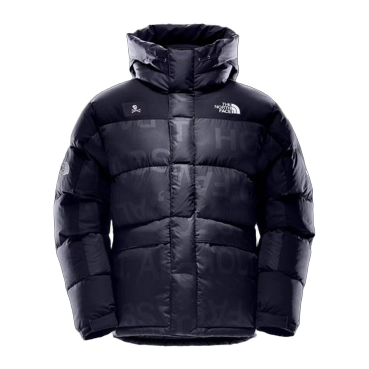 The North Face Urban Exploration UE Special Series Down Parka | 5J27