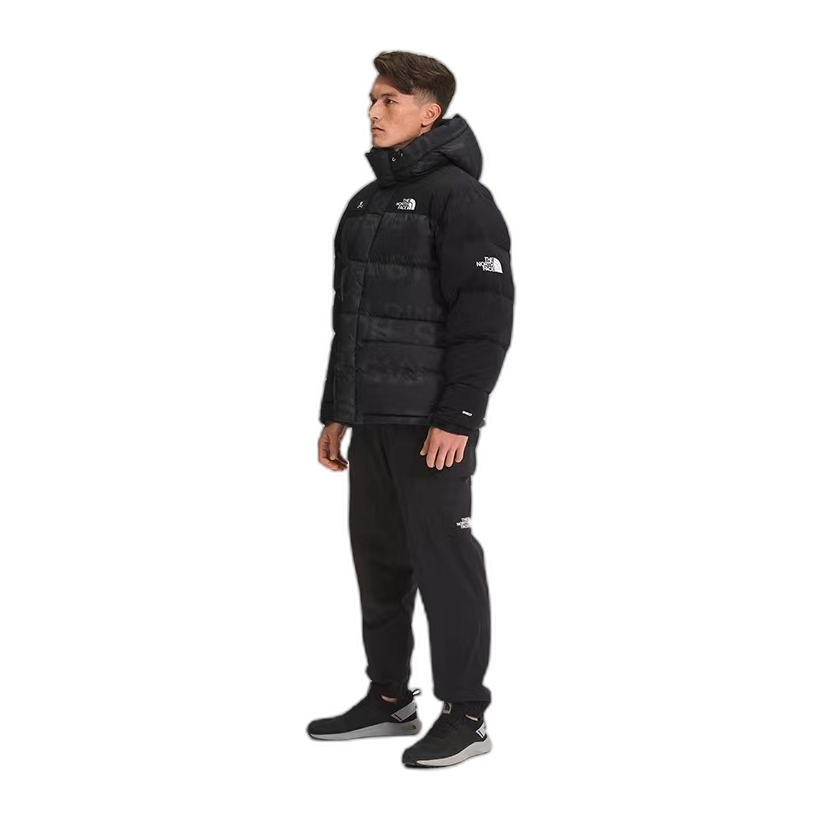 The North Face Urban Exploration UE Special Series Down Parka | 5J27